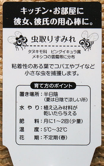 「食虫植物（ハエトリソウ・モウセンゴケ・ムシトリスミレ・サラセニア・ミミカキグサ）」テキトー栽培記