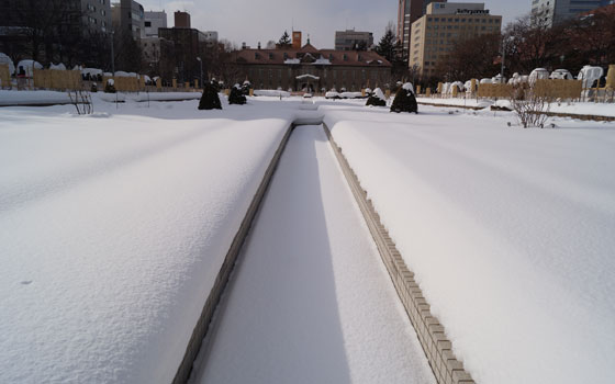 第67回さっぽろ雪まつり【大通会場12丁目】