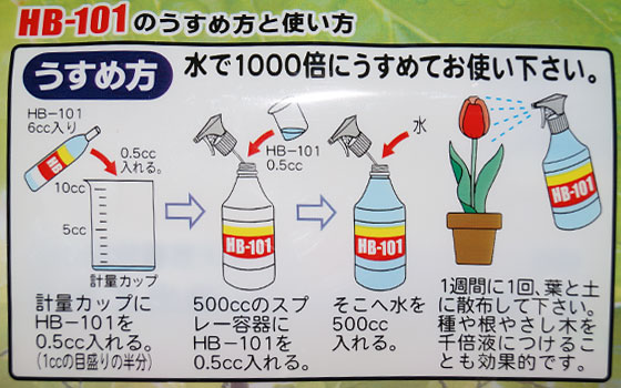 「食虫植物（モウセンゴケ・サラセニア・ムシトリスミレ・ミミカキグサ）」テキトー栽培記