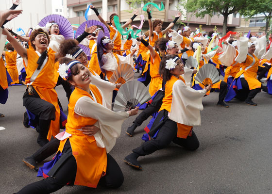 第24回YOSAKOIソーラン祭りより「北海道文教大学〜陽燕〜」