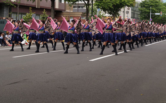 第24回YOSAKOIソーラン祭りより「コンサフリーク〜北海道武蔵女子短期大学〜」