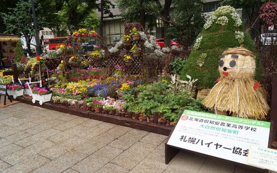 花フェスタ2015札幌より「北海道農業高校生ガーデニングコンテスト」