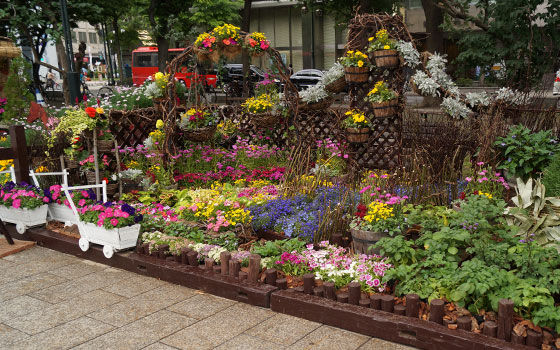 花フェスタ2015札幌より「北海道農業高校生ガーデニングコンテスト」