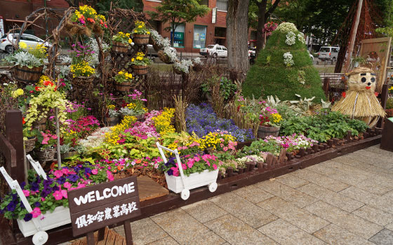 花フェスタ2015札幌より「北海道農業高校生ガーデニングコンテスト」