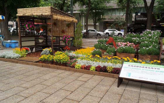 花フェスタ2015札幌より「北海道農業高校生ガーデニングコンテスト」