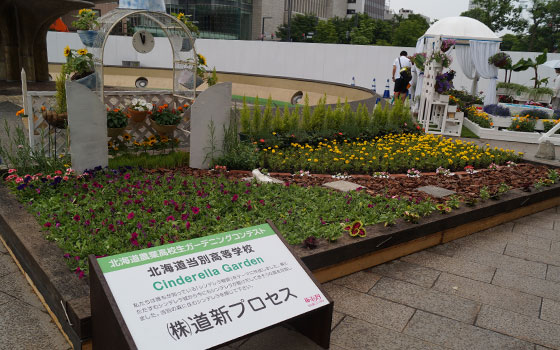 花フェスタ2015札幌より「北海道農業高校生ガーデニングコンテスト」