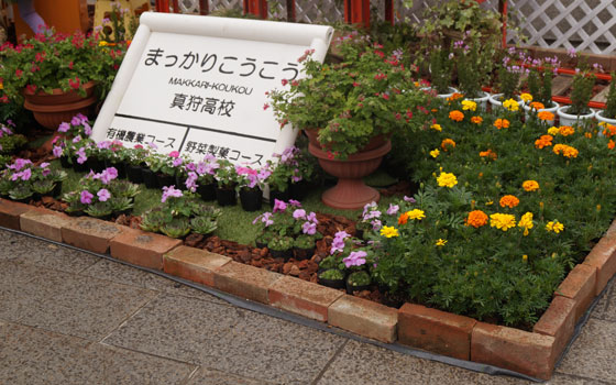 花フェスタ2015札幌より「北海道農業高校生ガーデニングコンテスト」