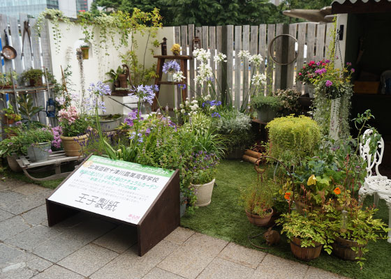 花フェスタ2015札幌より「北海道農業高校生ガーデニングコンテスト」