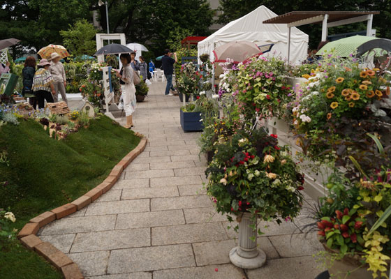 花フェスタ2015札幌より「ハンギングバスケット・コンテナガーデン作品展示」