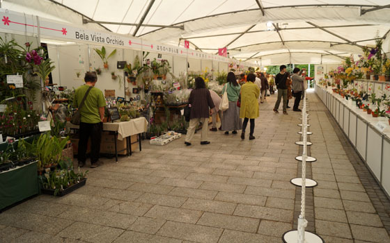 花フェスタ2015札幌より「蘭パビリオン」「花市場」