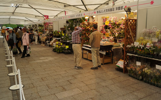 花フェスタ2015札幌より「蘭パビリオン」「花市場」