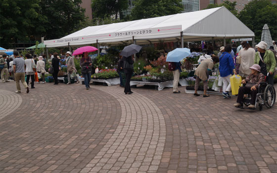 花フェスタ2015札幌より「蘭パビリオン」「花市場」