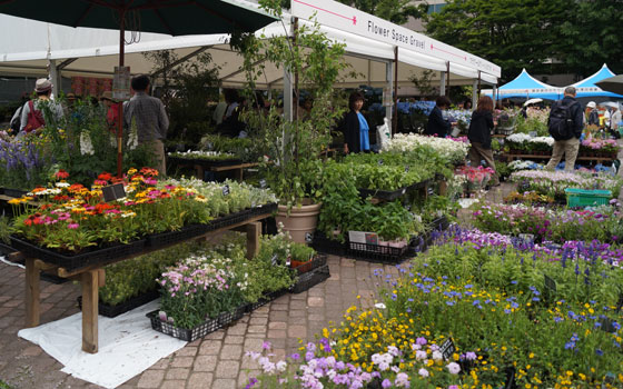 花フェスタ2015札幌より「蘭パビリオン」「花市場」