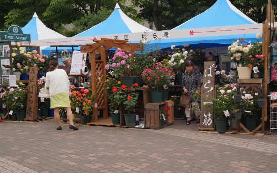 花フェスタ2015札幌より「蘭パビリオン」「花市場」