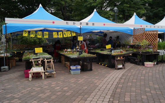 花フェスタ2015札幌より「蘭パビリオン」「花市場」