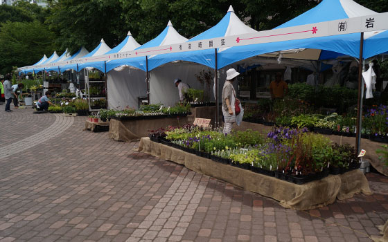 花フェスタ2015札幌より「蘭パビリオン」「花市場」