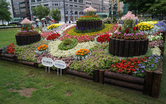 番外2015「大通花壇コンクール」