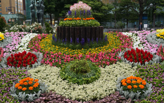 番外2015「大通花壇コンクール」