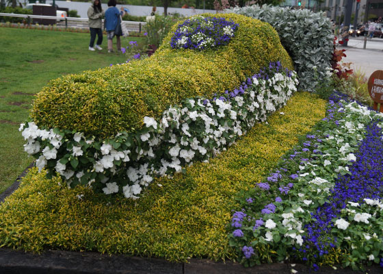 番外2015「大通花壇コンクール」