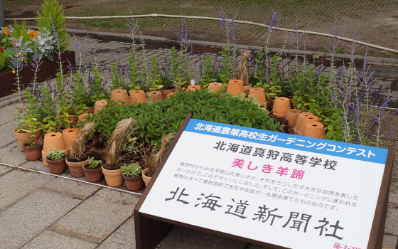 花フェスタ2014札幌より「北海道農業高校生ガーデニングコンテスト」