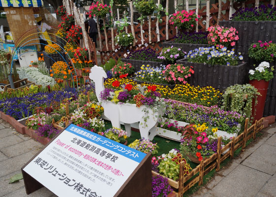 花フェスタ2014札幌より「北海道農業高校生ガーデニングコンテスト」