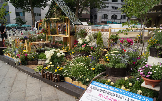 花フェスタ2014札幌より「北海道農業高校生ガーデニングコンテスト」