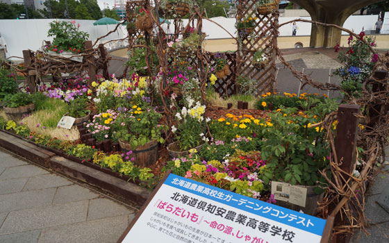 花フェスタ2014札幌より「北海道農業高校生ガーデニングコンテスト」