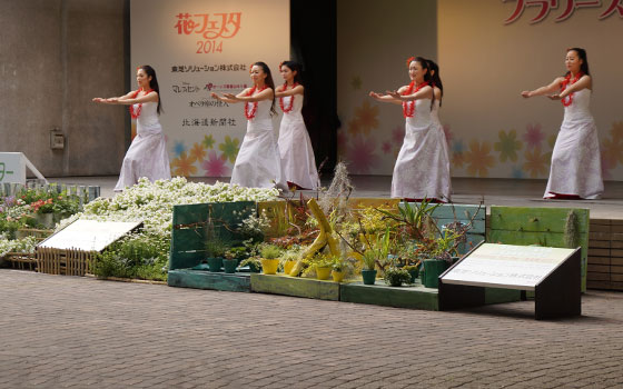 花フェスタ2014札幌より「ハンギングバスケット」「蘭パビリオン」「花市場」他