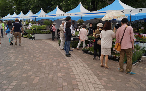 花フェスタ2014札幌より「ハンギングバスケット」「蘭パビリオン」「花市場」他