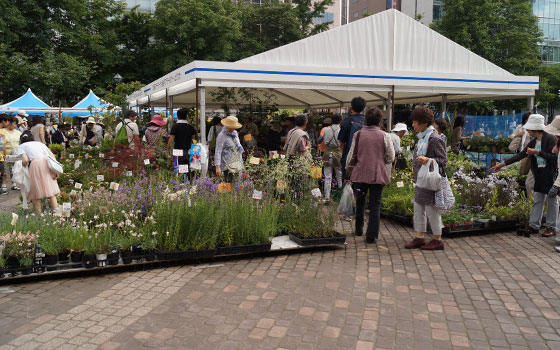 花フェスタ2014札幌より「ハンギングバスケット」「蘭パビリオン」「花市場」他