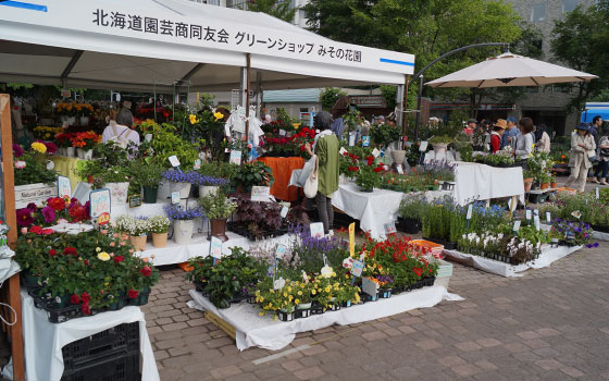 花フェスタ2014札幌より「ハンギングバスケット」「蘭パビリオン」「花市場」他