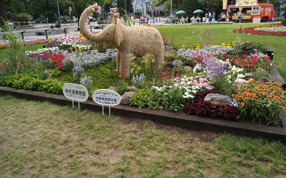 番外2014「大通花壇コンクール」