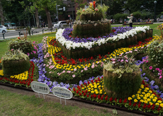 番外2014「大通花壇コンクール」