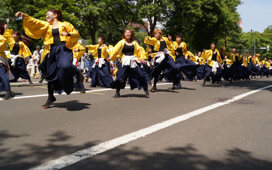 第25回YOSAKOIソーラン祭りより「関東学院大学”誇咲”」