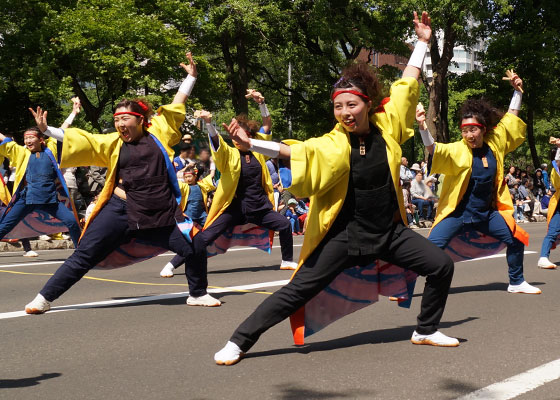 第25回YOSAKOIソーラン祭りより「朝霧なるこ遊和会舞」