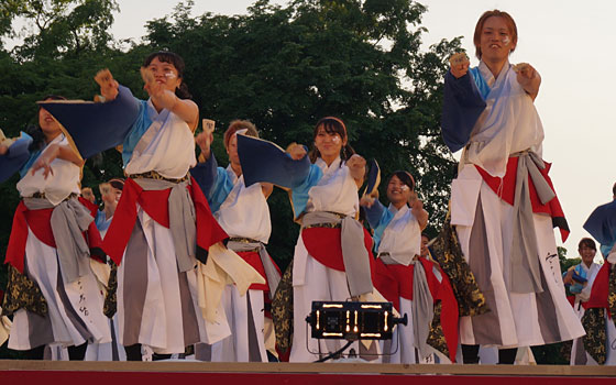 第25回YOSAKOIソーラン祭りより「東海大学 響」