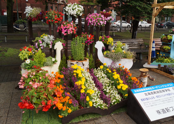 花フェスタ2016札幌より「北海道農業高校生ガーデニングコンテスト（通称：ガーデニング甲子園）」