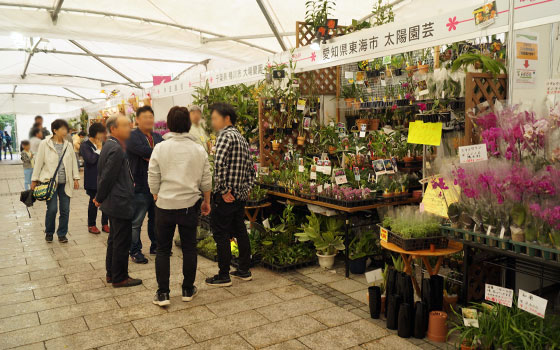 花フェスタ2016札幌より「蘭パビリオン」