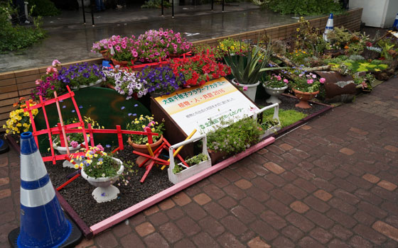 花フェスタ2016札幌より「フラワーディスプレー」