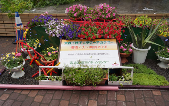 花フェスタ2016札幌より「フラワーディスプレー」