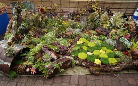 花フェスタ2016札幌より「フラワーディスプレー」