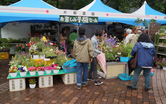 花フェスタ2016札幌より「花市場」