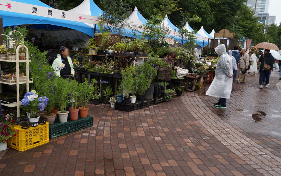 花フェスタ2016札幌より「花市場」