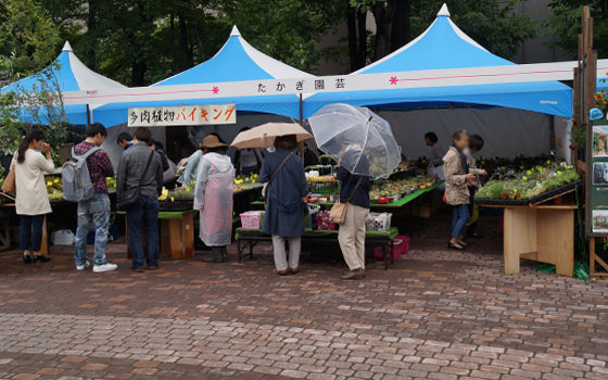 花フェスタ2016札幌より「花市場」