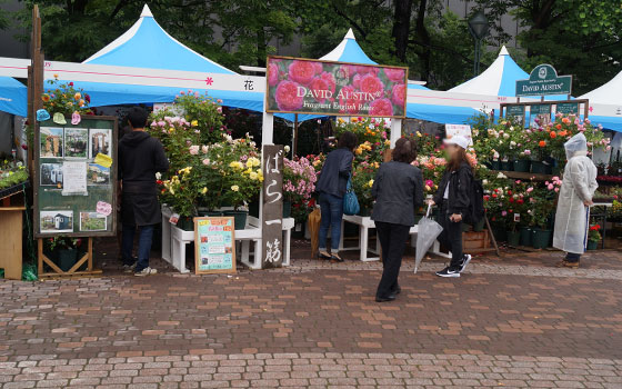 花フェスタ2016札幌より「花市場」