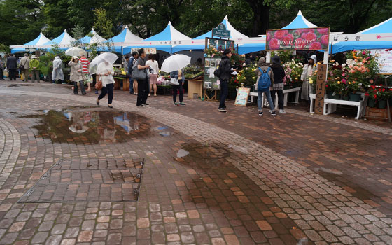 花フェスタ2016札幌より「花市場」