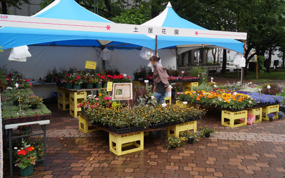 花フェスタ2016札幌より「花市場」