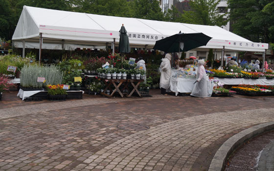 花フェスタ2016札幌より「花市場」