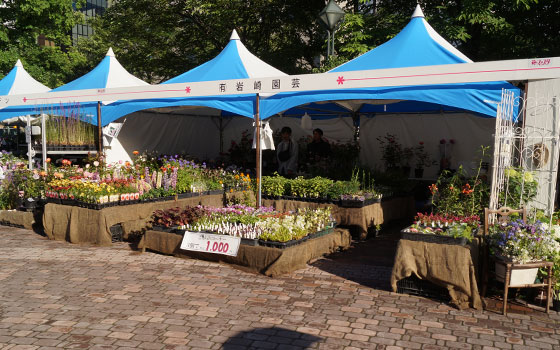 花フェスタ2016札幌より「花市場」