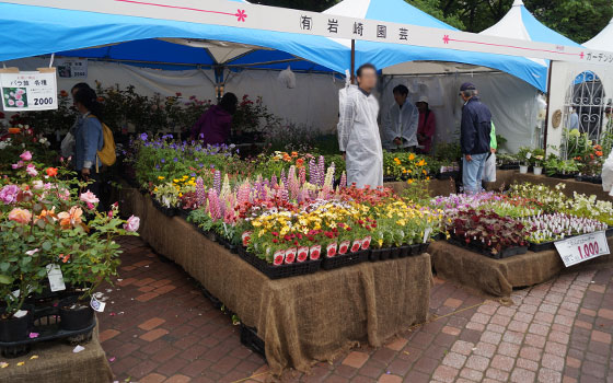 花フェスタ2016札幌より「花市場」